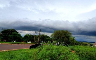 foto destaque site (42)