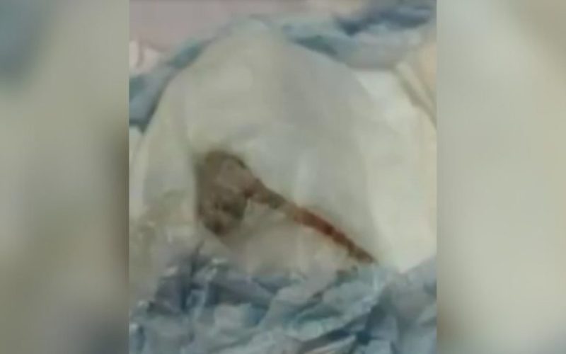 foto destaque site (43)