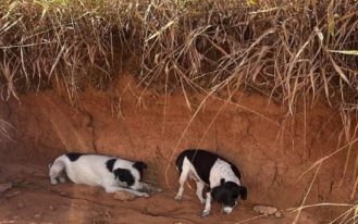 foto destaque site (47)