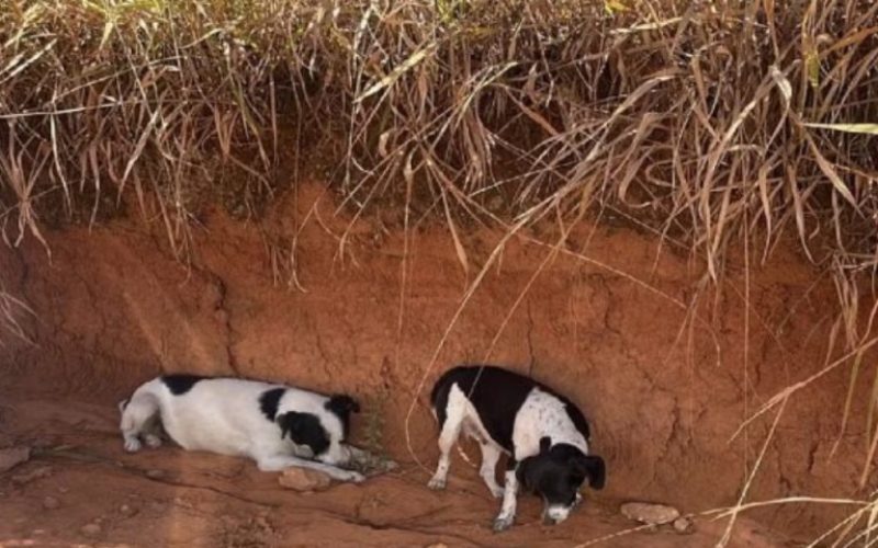 foto destaque site (47)