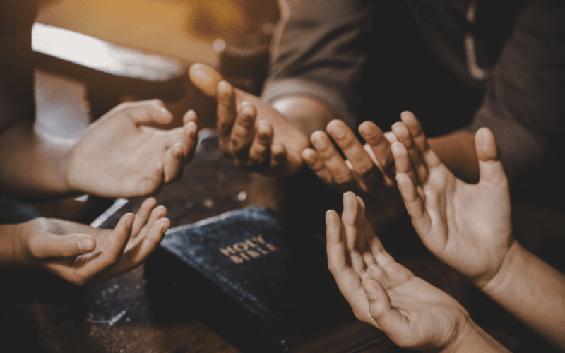 foto destaque site (5)