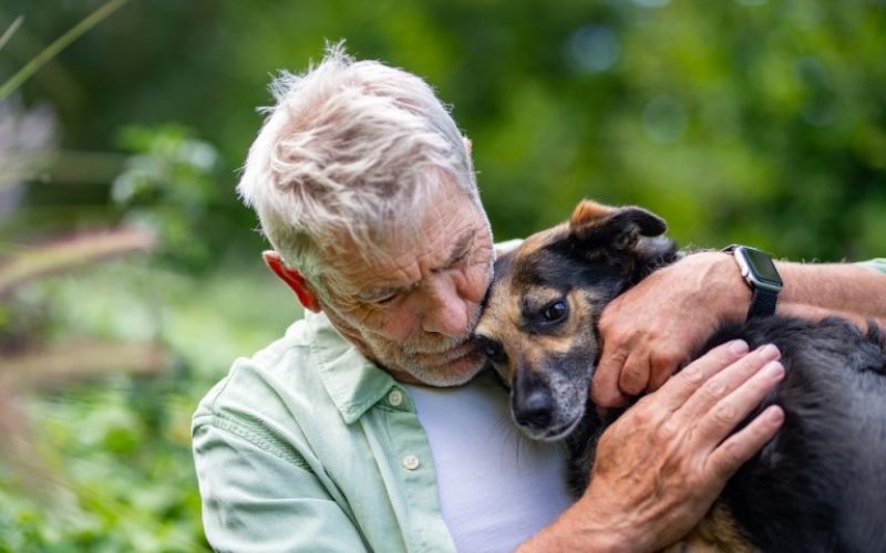 foto destaque site (5)