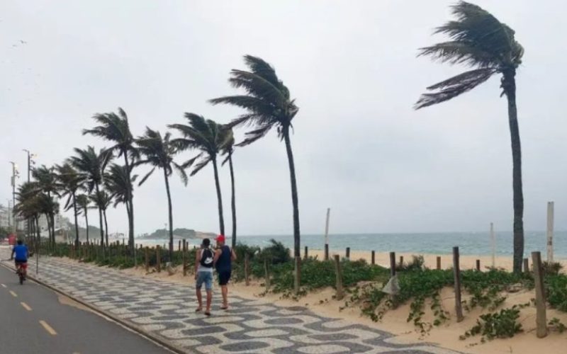 foto destaque site (50)