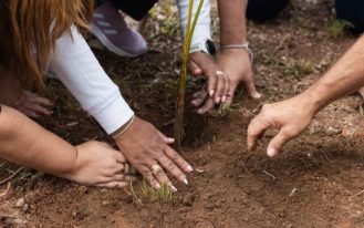 foto destaque site (51)