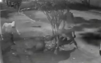 foto destaque site (54)