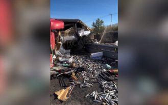 foto destaque site (59)