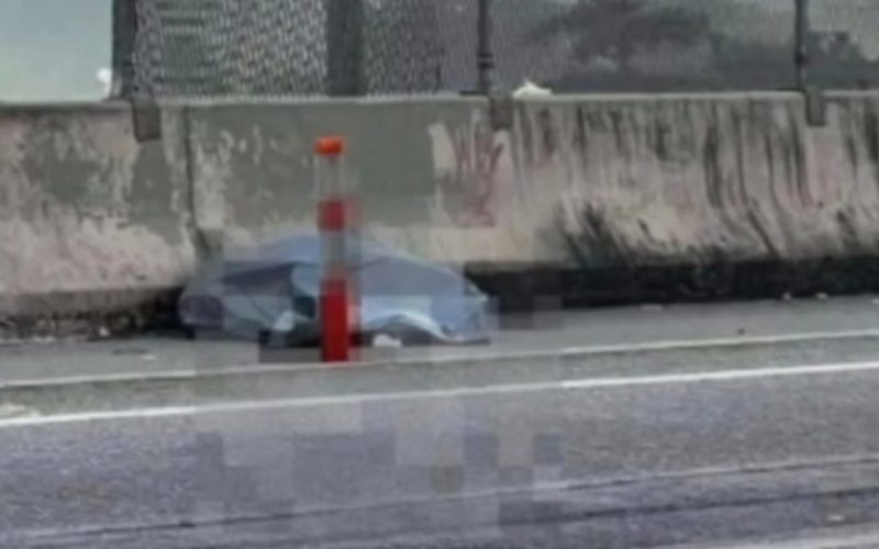 foto destaque site (59)