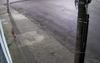 foto destaque site (6)