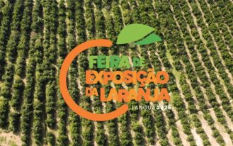 foto destaque site (60)