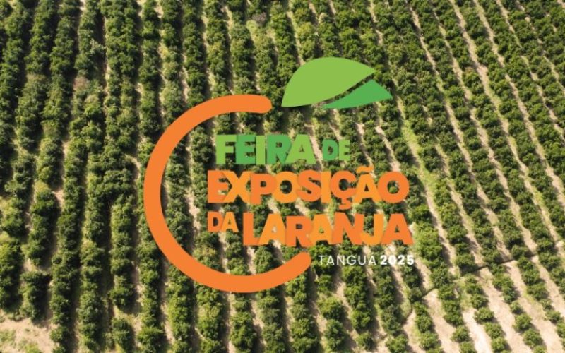 foto destaque site (60) foto destaque site (60)