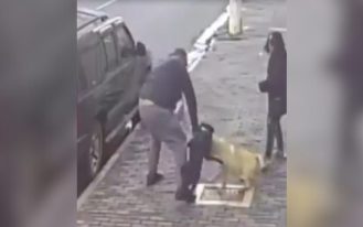 foto destaque site (60)