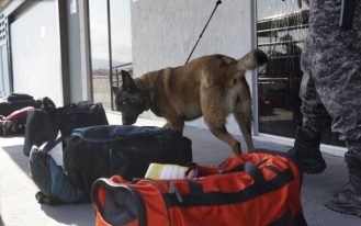 foto destaque site (67)