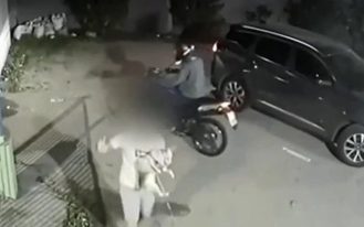 foto destaque site (69)