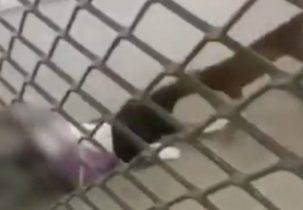 foto destaque site (69)