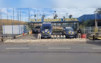 foto destaque site (7)