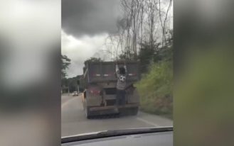 foto destaque site (75)