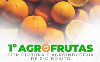 foto destaque site (76)