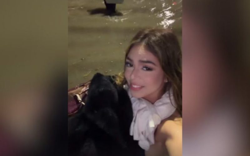 foto destaque site (77)