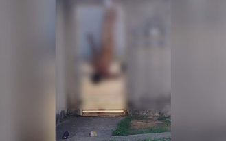 foto destaque site (78)