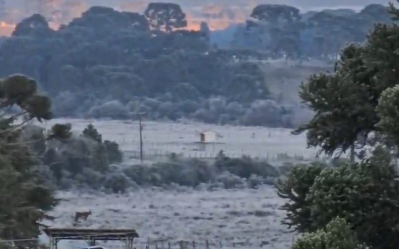 foto destaque site (78)