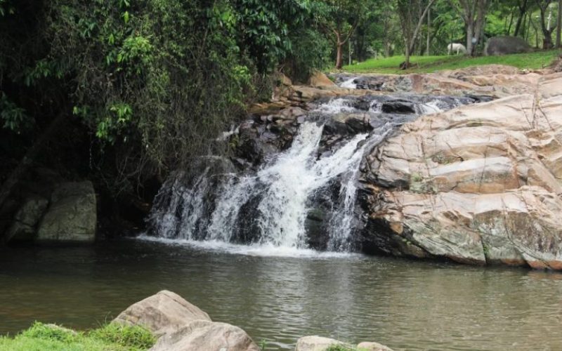 foto destaque site (8)