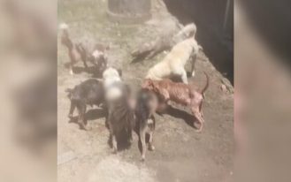 foto destaque site (8)