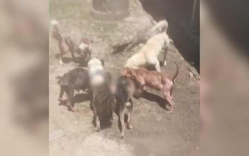 foto destaque site (8)