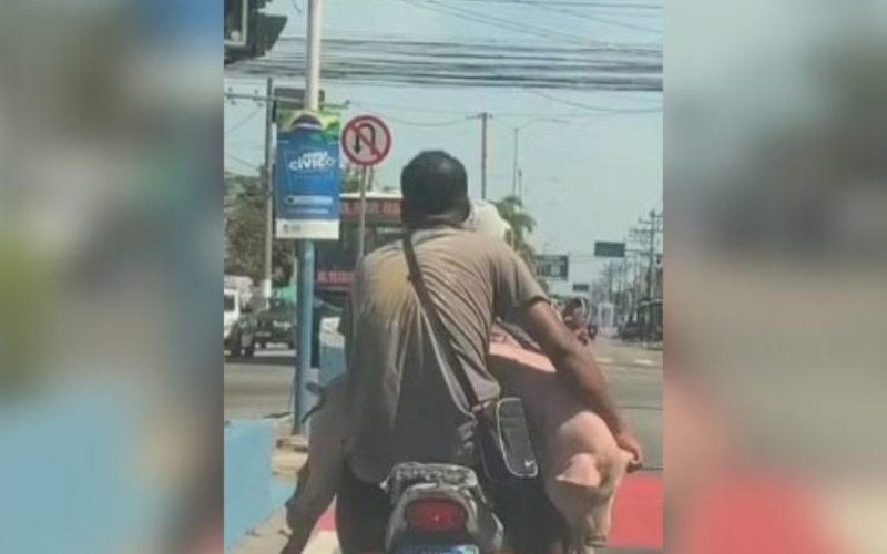 foto destaque site (83)