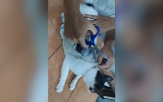 foto destaque site (88)