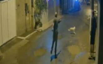 foto destaque site (97)