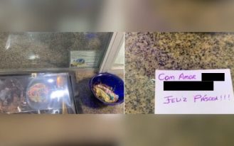 foto destaque site (99)