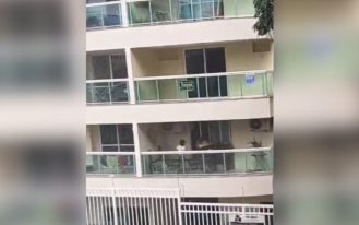 foto destaque site - cachorra