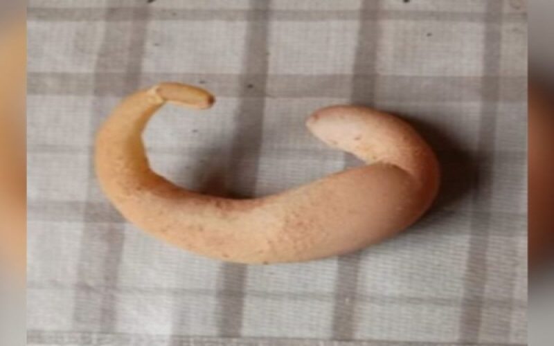 foto-destaque-site-ovo-meia-lua