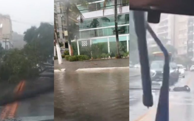 foto destaque site_20250405_145007_0000