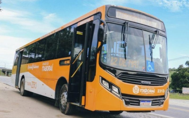 laranjinha-scaled-qi4ivkal1glu5dveaijmo0op18a9ed1iad9leqjzbc