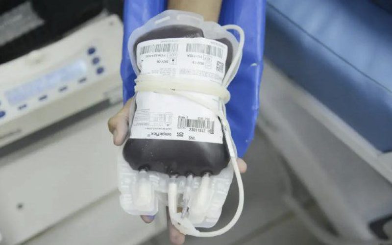 sangue sangue